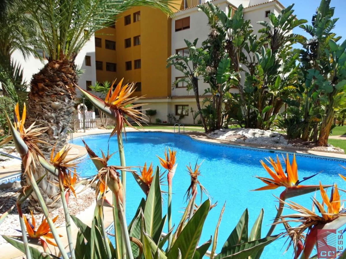 Apartamento Eleonor, La Entrada, Punta Prima, Torrevieja Zewnętrze zdjęcie
